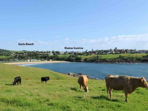 Kiama Sunrise Kiama And Surrounds 4pm Check Out Sundays