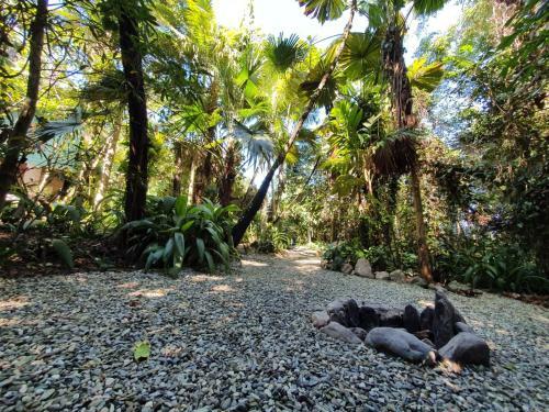 Lodge Cassowary House