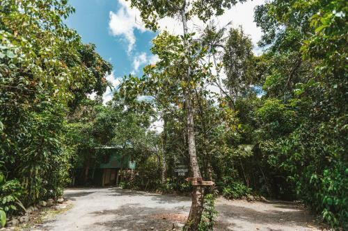 Lodge Cassowary House