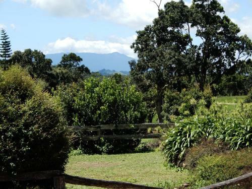 Hostal Malanda Manor Guesthouse