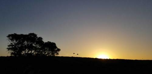 Lodge Karriview Margaret River