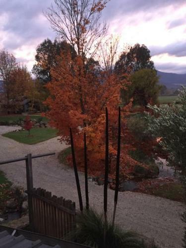 Eco Villa Mt. Beauty-near Falls Creek & Bright