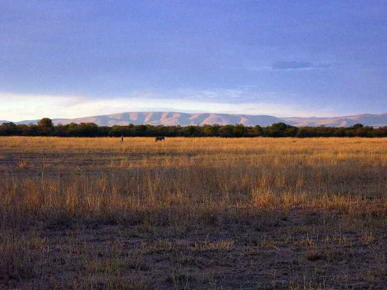 Ditholo Game Lodge