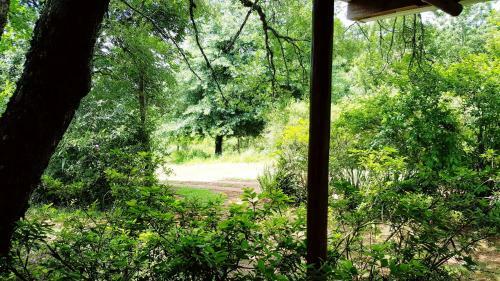 Hostal Stanford Lake Lodge