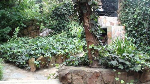 Forest Creek Lodge & Spa