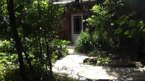 Forest Creek Lodge & Spa