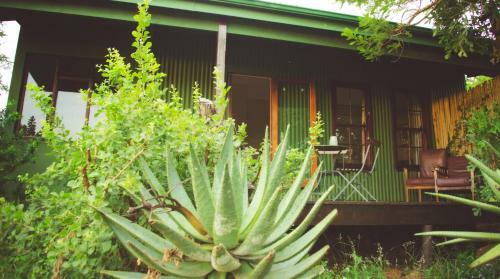 Hotel Three Trees At Spioenkop