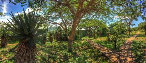 Hotel Three Trees At Spioenkop