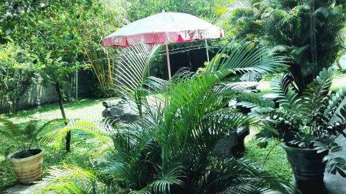 Hostal Takeshi Inn