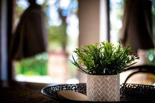 Villa Seventh Heaven Vibrant Restful Pad Maylands/mt Lawley Side