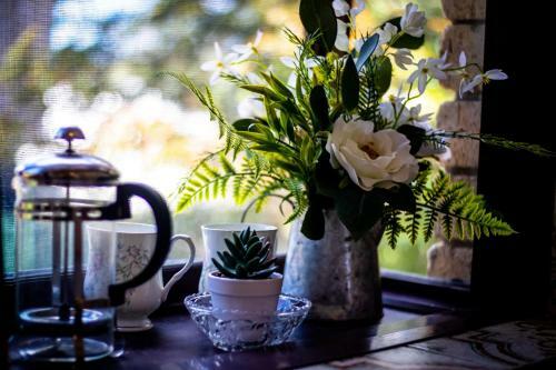 Villa Seventh Heaven Vibrant Restful Pad Maylands/mt Lawley Side