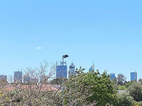 Apartamento Stylish River City Views, Parking, Wifi, Netflix