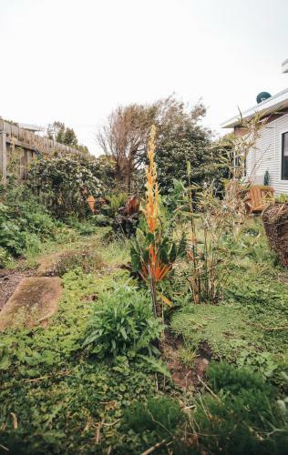 Craypot Cottage Port Campbell
