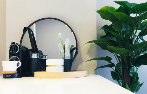 Evolve Near Adelaide Cbd - Netflix / Wine / Lock Up Garage!