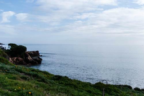 Polperro, A Quintessential Seaside Experience