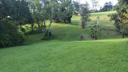 Apartamento Springbrook Log Cabin Retreat