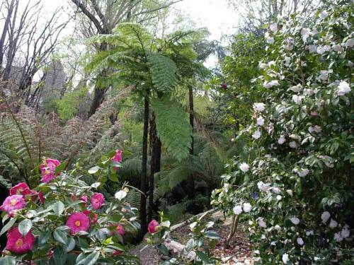Hostal Adelaide Hills B&B Accommodation