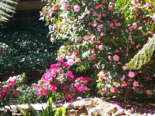 Hostal Adelaide Hills B&B Accommodation