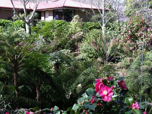 Hostal Adelaide Hills B&B Accommodation