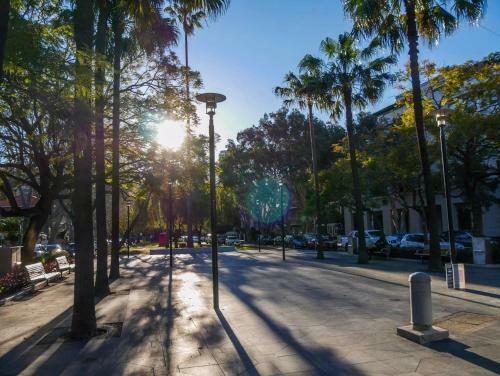 Apartamento Prime Double Bay Location With Balcony