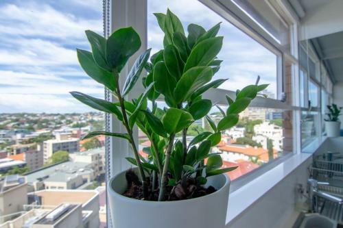 Apartamento Bright Studio With Amazing City Views