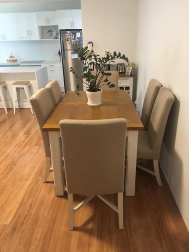 Modern Apartment Close To Randwick Unsw & City