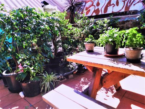 Posada Zen Harmony House Sydney