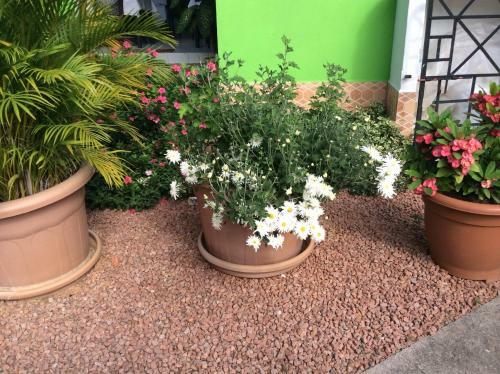 Hostal Benjamine's Holidays