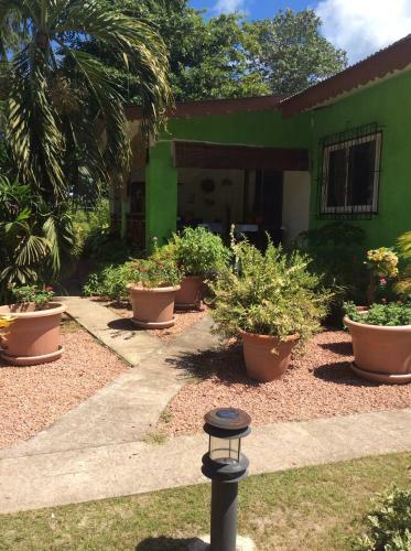 Hostal Benjamine's Holidays
