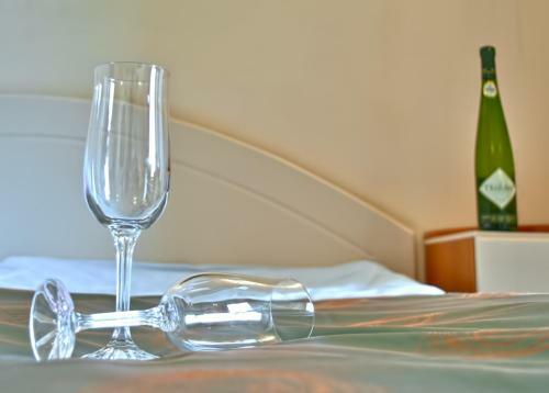Hotel Niski Cvet