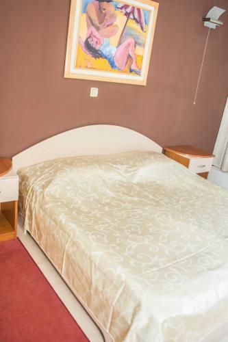 Hotel Niski Cvet