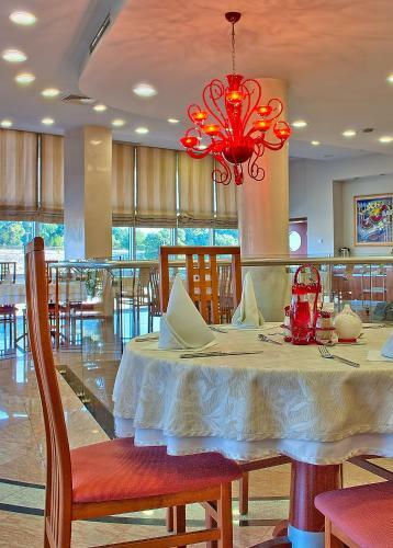 Hotel Niski Cvet