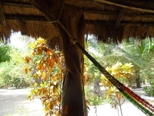 Hostal Kansala Ta Toto