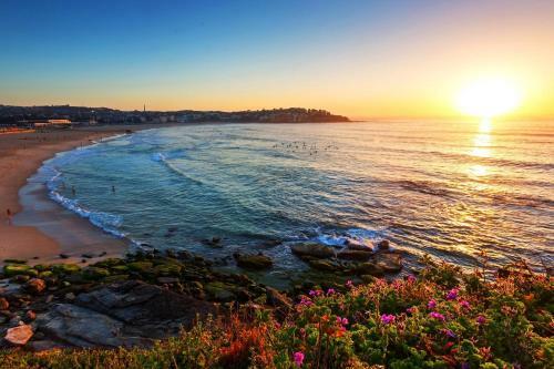 Newlife Serviced Apartments Bondi Junction
