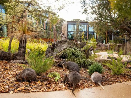 Hotel Wildlife Retreat At Taronga