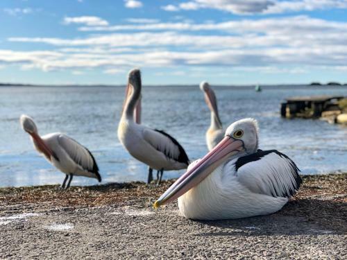 Relaxed Coastal Getaway // Moments To Waterfront