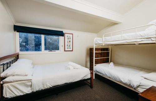 Very Nice 2-bedroom Apartment #5
