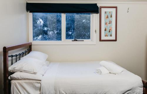 Very Nice 2-bedroom Apartment #5