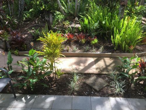 Apartamento Palms Trinity Beach