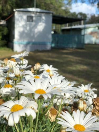Lazy Days Caravan Park
