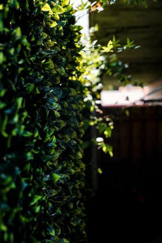 Apartamento The Fernery
