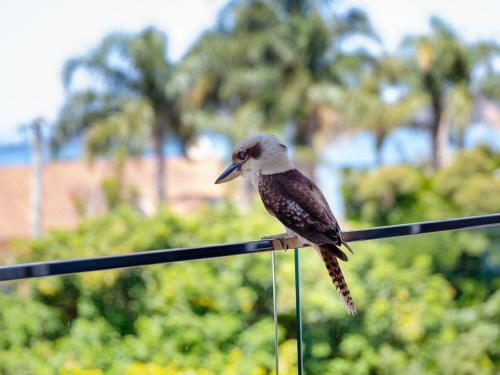 Blue Waters 7 Cook St Pet Friendly And Water Views