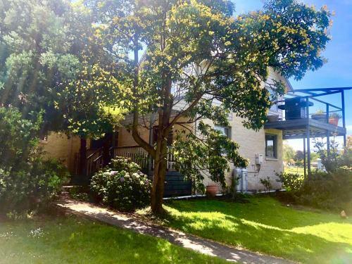 Bed & Breakfast Seaescape