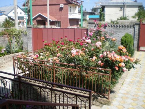 Hostal Guest House Planet Mov