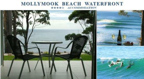 Aparthotel Mollymook Beach Waterfront