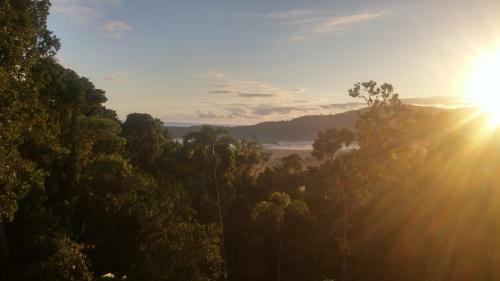 Daintree Holiday Homes - Yurara