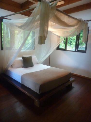 Daintree Holiday Homes - Yurara