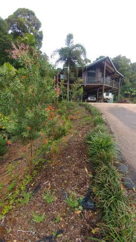 Daintree Holiday Homes - Yurara