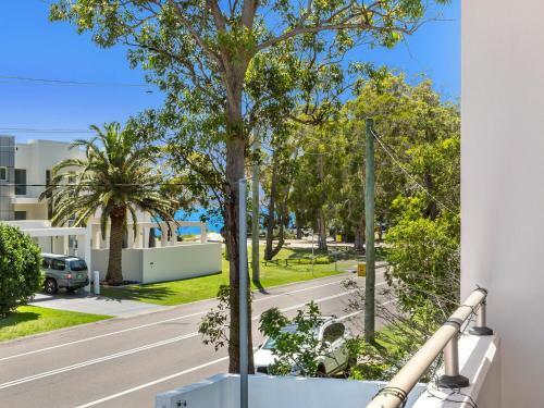 Living The Dream @ Corlette