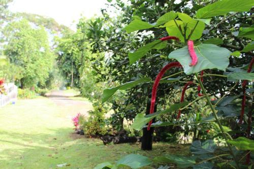 Dave Parker Eco Lodge